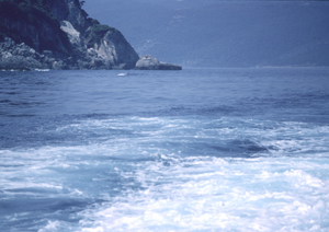 LEICA R8, APO-TELYT 3,4/180